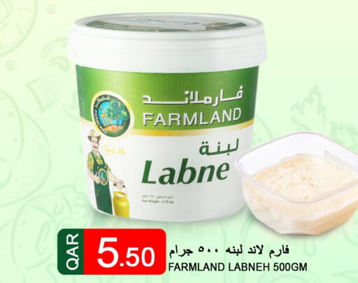  Labneh  in قصر الأغذية هايبرماركت in قطر - الخور