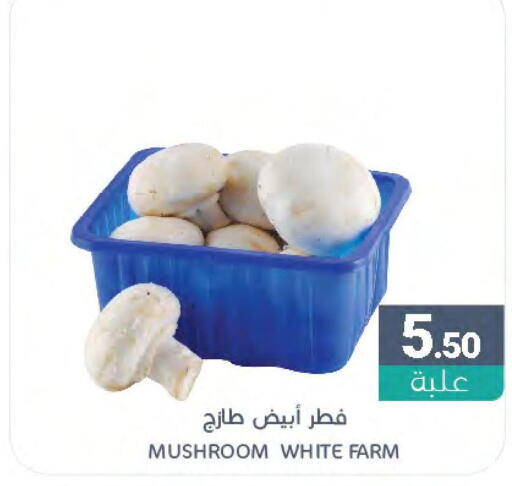  Mushroom  in Muntazah Markets in KSA, Saudi Arabia, Saudi - Qatif