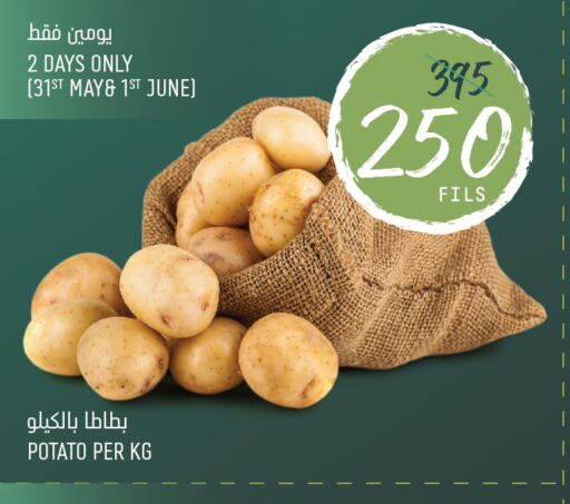  Potato  in Oncost in Kuwait - Kuwait City