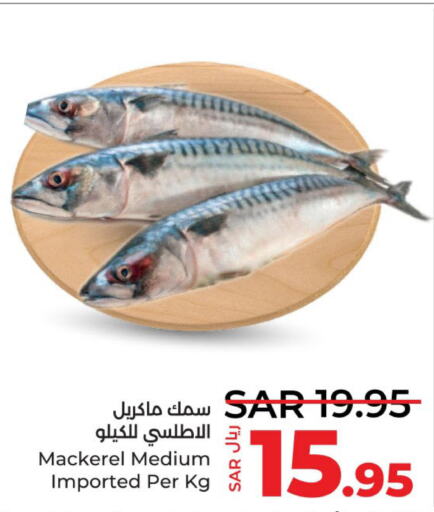  King Fish  in LULU Hypermarket in KSA, Saudi Arabia, Saudi - Khamis Mushait