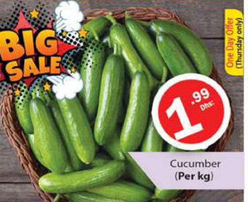  Cucumber  in Gulf Hypermarket LLC in UAE - Ras al Khaimah