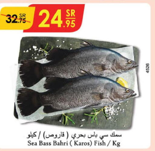  King Fish  in الدانوب in مملكة العربية السعودية, السعودية, سعودية - خميس مشيط