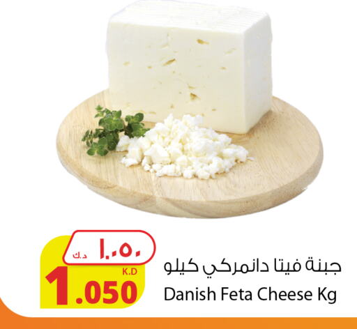  Feta  in Agricultural Food Products Co. in Kuwait - Kuwait City