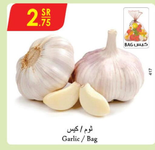  Garlic  in الدانوب in مملكة العربية السعودية, السعودية, سعودية - عنيزة