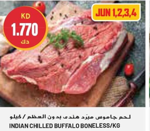  Buffalo  in جراند كوستو in الكويت - مدينة الكويت