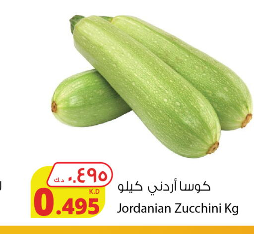  Zucchini  in شركة المنتجات الزراعية الغذائية in الكويت - محافظة الأحمدي