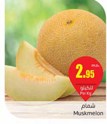  Sweet melon  in Othaim Markets in KSA, Saudi Arabia, Saudi - Ar Rass