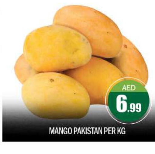 Mango Mango  in بيج مارت in الإمارات العربية المتحدة , الامارات - أبو ظبي