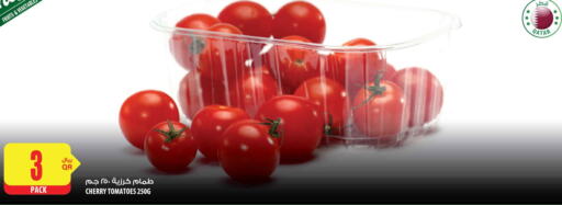  Tomato  in شركة الميرة للمواد الاستهلاكية in قطر - الخور