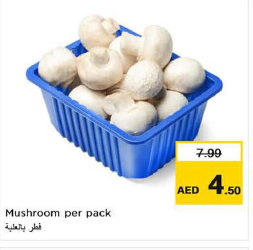  Mushroom  in نستو هايبرماركت in الإمارات العربية المتحدة , الامارات - ٱلْعَيْن‎