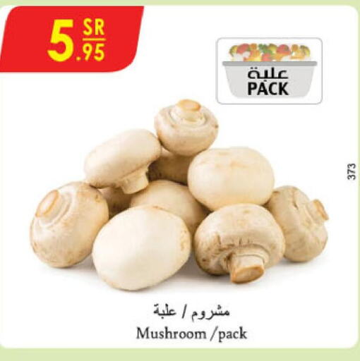  Mushroom  in Danube in KSA, Saudi Arabia, Saudi - Unayzah