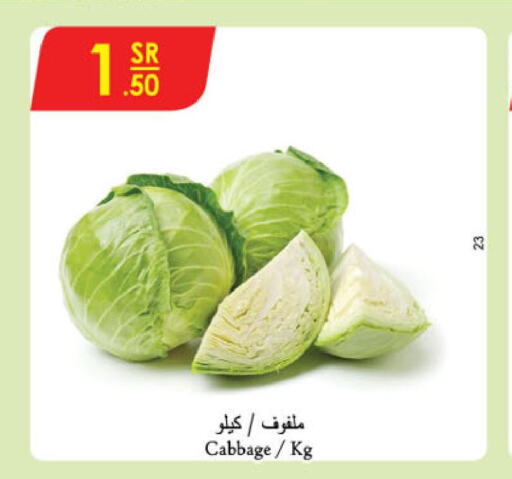  Cabbage  in الدانوب in مملكة العربية السعودية, السعودية, سعودية - الخبر‎