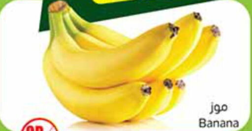  Banana  in أسواق عبد الله العثيم in مملكة العربية السعودية, السعودية, سعودية - الأحساء‎