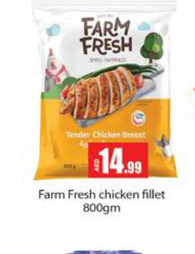 FARM FRESH Chicken Fillet  in Gulf Hypermarket LLC in UAE - Ras al Khaimah