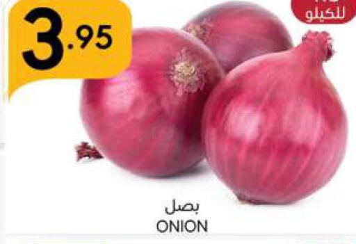  Onion  in Manuel Market in KSA, Saudi Arabia, Saudi - Jeddah