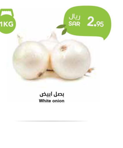  White Onion  in Consumer Oasis in KSA, Saudi Arabia, Saudi - Dammam