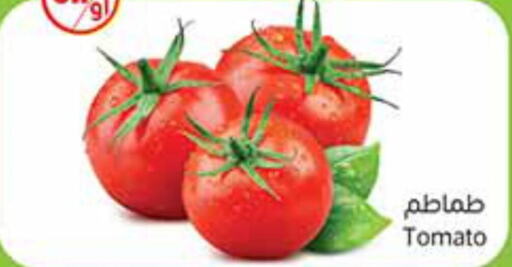  Tomato  in Othaim Markets in KSA, Saudi Arabia, Saudi - Sakaka