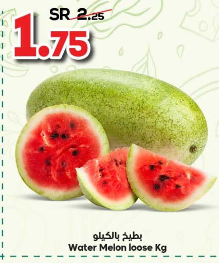  Watermelon  in الدكان in مملكة العربية السعودية, السعودية, سعودية - مكة المكرمة