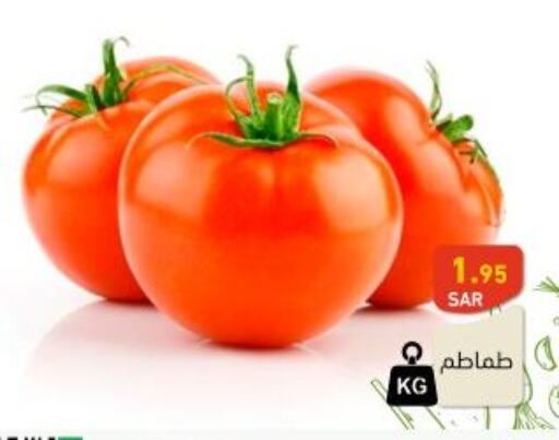  Tomato  in أسواق رامز in مملكة العربية السعودية, السعودية, سعودية - الرياض
