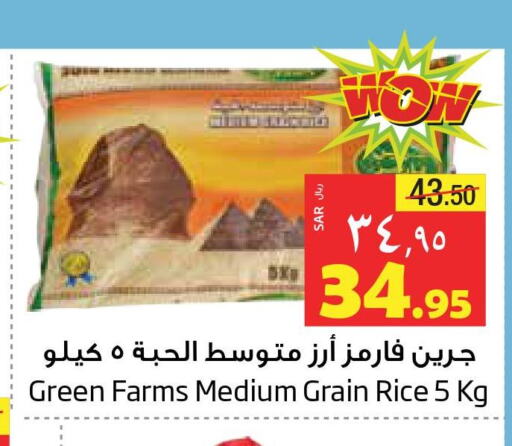  Egyptian / Calrose Rice  in Layan Hyper in KSA, Saudi Arabia, Saudi - Dammam
