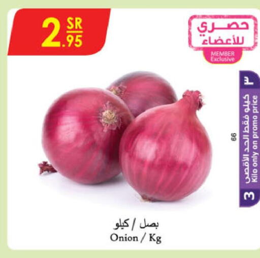  Onion  in الدانوب in مملكة العربية السعودية, السعودية, سعودية - مكة المكرمة