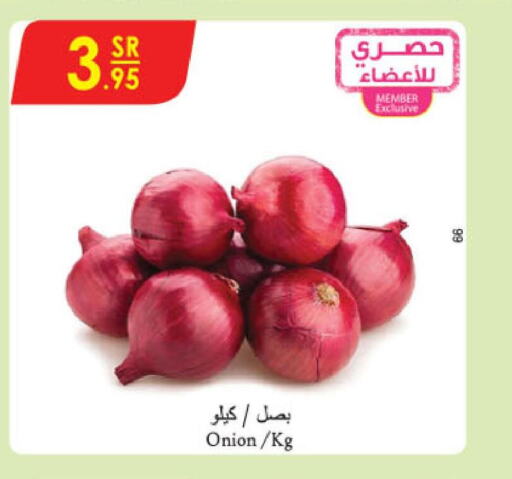  Onion  in الدانوب in مملكة العربية السعودية, السعودية, سعودية - المنطقة الشرقية