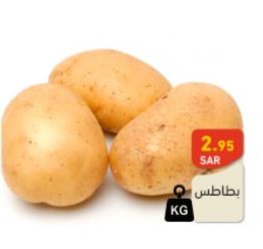  Potato  in أسواق رامز in مملكة العربية السعودية, السعودية, سعودية - حفر الباطن