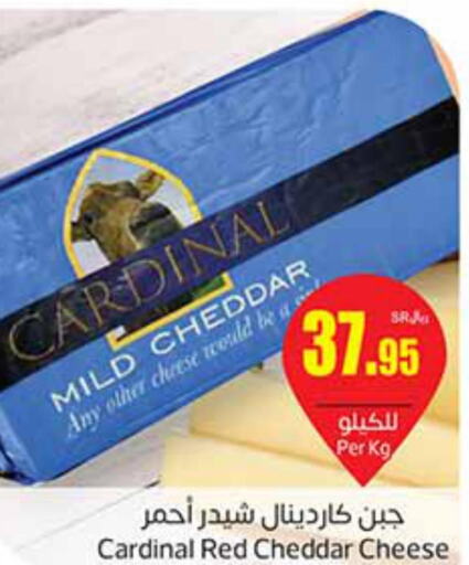 Cheddar Cheese  in أسواق عبد الله العثيم in مملكة العربية السعودية, السعودية, سعودية - رفحاء