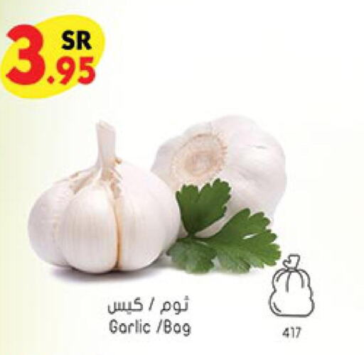  Garlic  in Bin Dawood in KSA, Saudi Arabia, Saudi - Ta'if