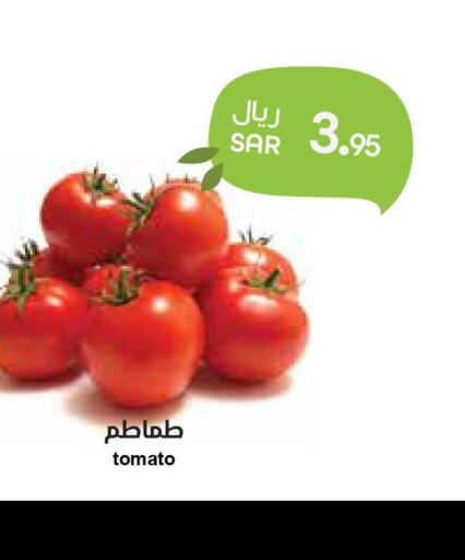  Tomato  in واحة المستهلك in مملكة العربية السعودية, السعودية, سعودية - الرياض