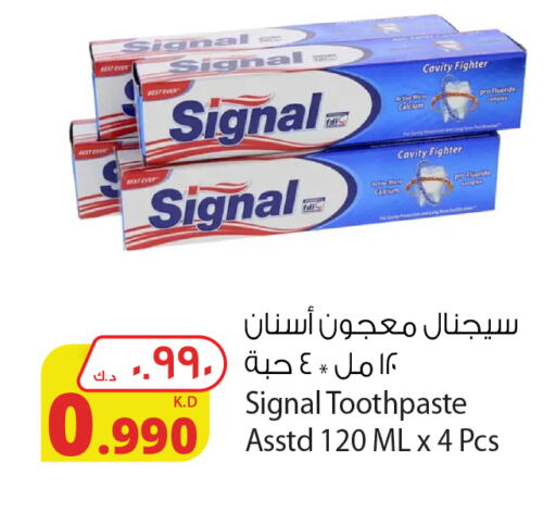 SIGNAL Toothpaste  in Agricultural Food Products Co. in Kuwait - Ahmadi Governorate