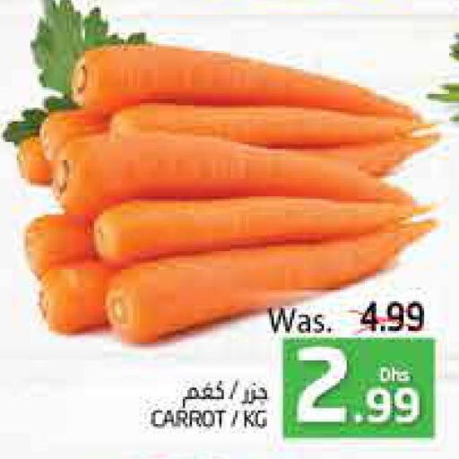 Carrot  in PASONS GROUP in UAE - Al Ain