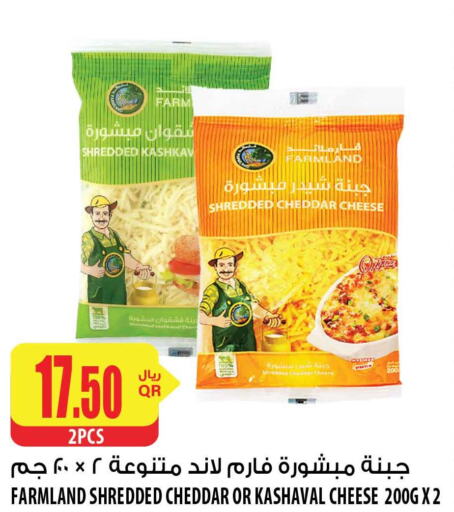  Cheddar Cheese  in شركة الميرة للمواد الاستهلاكية in قطر - أم صلال
