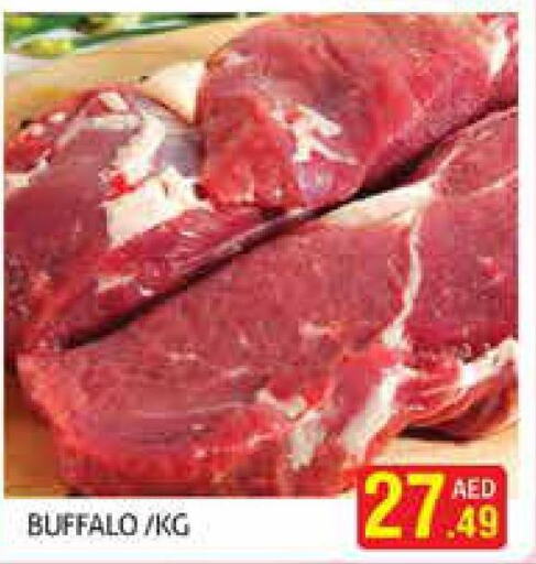  Buffalo  in Palm Hypermarket Muhaisina LLC in UAE - Dubai