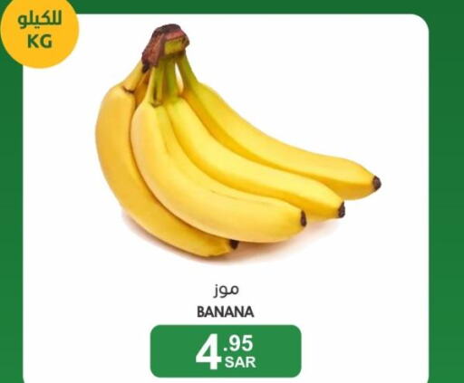  Banana  in  مـزايــا in مملكة العربية السعودية, السعودية, سعودية - المنطقة الشرقية