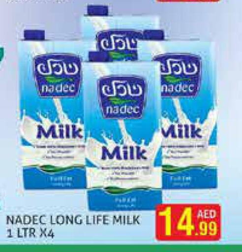  Fresh Milk  in Palm Hypermarket Muhaisina LLC in UAE - Dubai