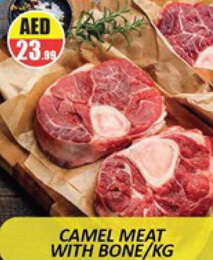  Camel meat  in المدينة in الإمارات العربية المتحدة , الامارات - دبي