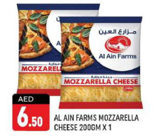 AL AIN Mozzarella  in Shaklan  in UAE - Dubai