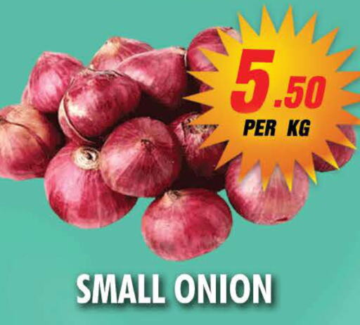  Onion  in نايت تو نايت in الإمارات العربية المتحدة , الامارات - الشارقة / عجمان
