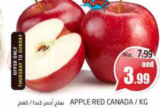  Apples  in PASONS GROUP in UAE - Al Ain