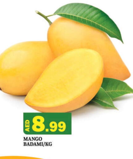 Mango   in مانجو هايبرماركت in الإمارات العربية المتحدة , الامارات - دبي