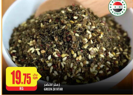 KDD Tomato Paste  in شركة الميرة للمواد الاستهلاكية in قطر - الشحانية