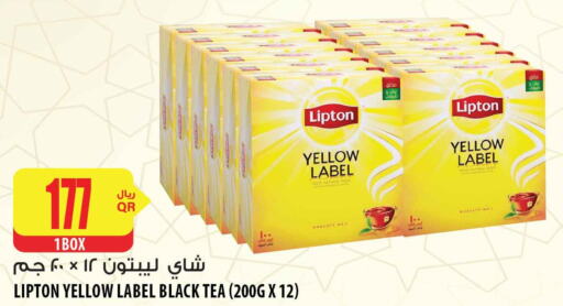 Lipton   in شركة الميرة للمواد الاستهلاكية in قطر - الخور