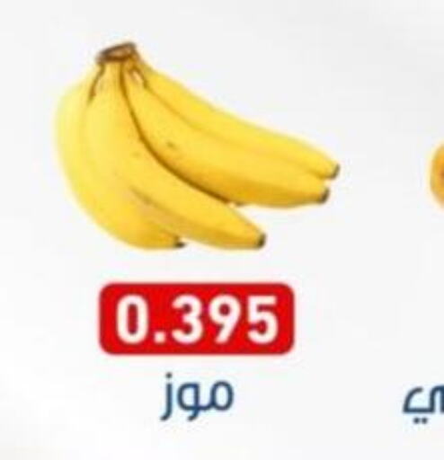  Banana  in جمعية السالمية العاونية in الكويت - مدينة الكويت