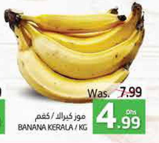  Banana  in PASONS GROUP in UAE - Al Ain