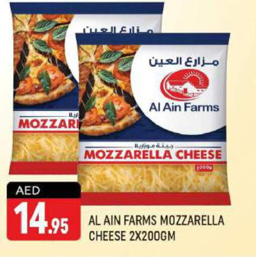 AL AIN Mozzarella  in شكلان ماركت in الإمارات العربية المتحدة , الامارات - دبي