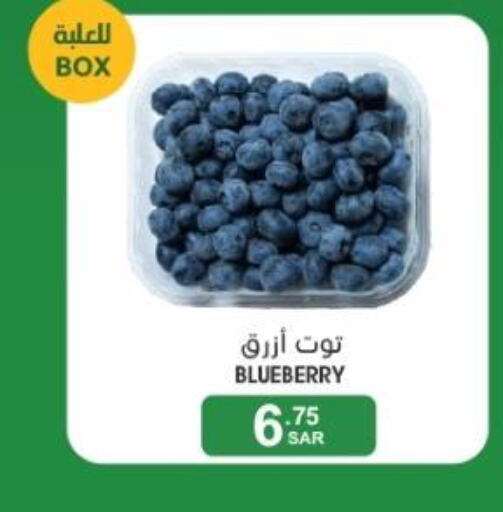  Berries  in  مـزايــا in مملكة العربية السعودية, السعودية, سعودية - القطيف‎