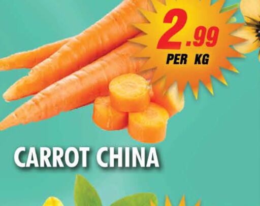  Carrot  in نايت تو نايت in الإمارات العربية المتحدة , الامارات - الشارقة / عجمان
