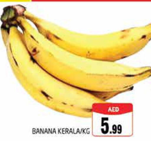  Banana  in PASONS GROUP in UAE - Al Ain