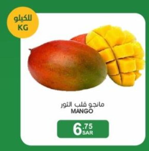 Mango   in  مـزايــا in مملكة العربية السعودية, السعودية, سعودية - القطيف‎